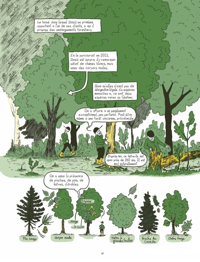 Extrait du livre Un Sacrifice tout naturel, une enquête dessinée sur les ratées de la protection de la biodiversité au Québec