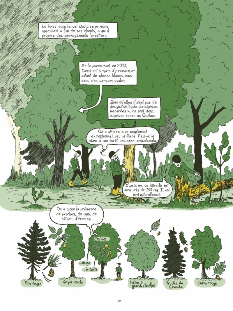 Extrait du livre Un Sacrifice tout naturel, une enquête dessinée sur les ratées de la protection de la biodiversité au Québec